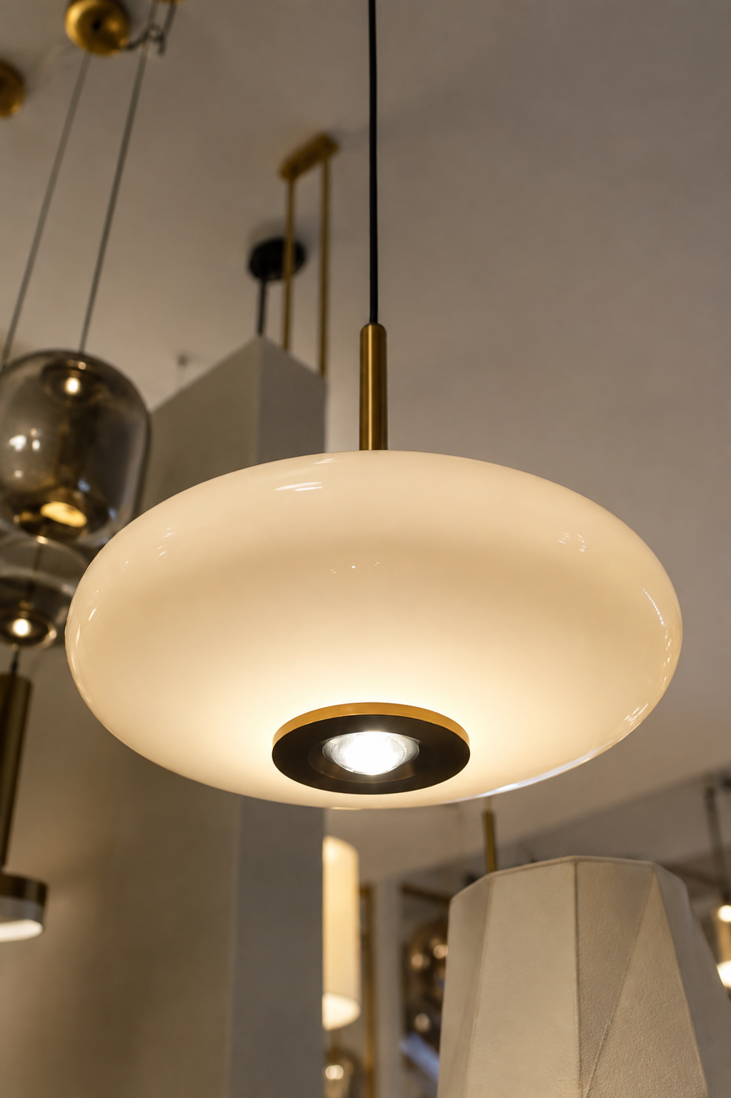 Pendant Light - FL-359